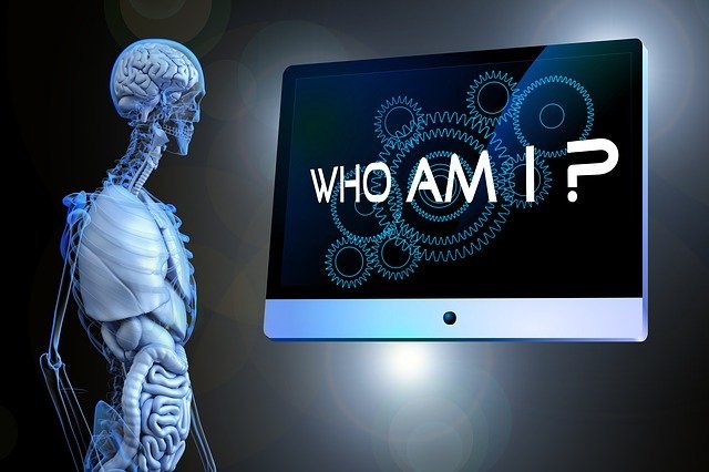 Picture of a transparent person with organs showing looking at a screen with the words - Who am I?